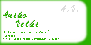 aniko velki business card